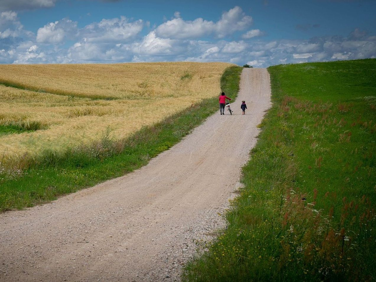 Percorsi panoramici della campagna italiana