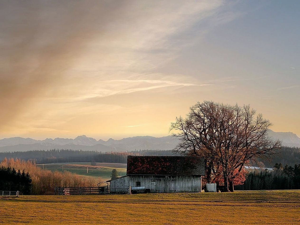 Il Gallo sveglia la valle al primo sole