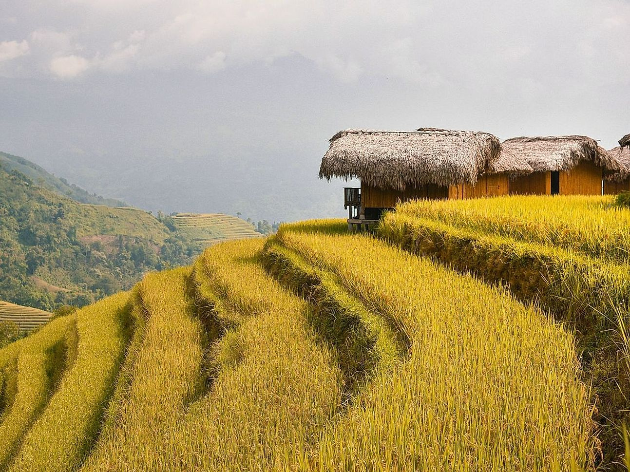 Automobilisti in campagna